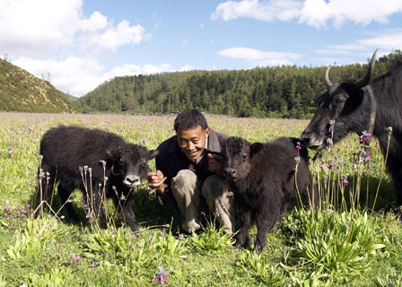 yak herder Tibet Spring Brook Ranch